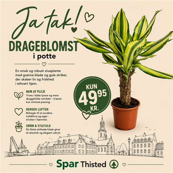 Drageplqnte